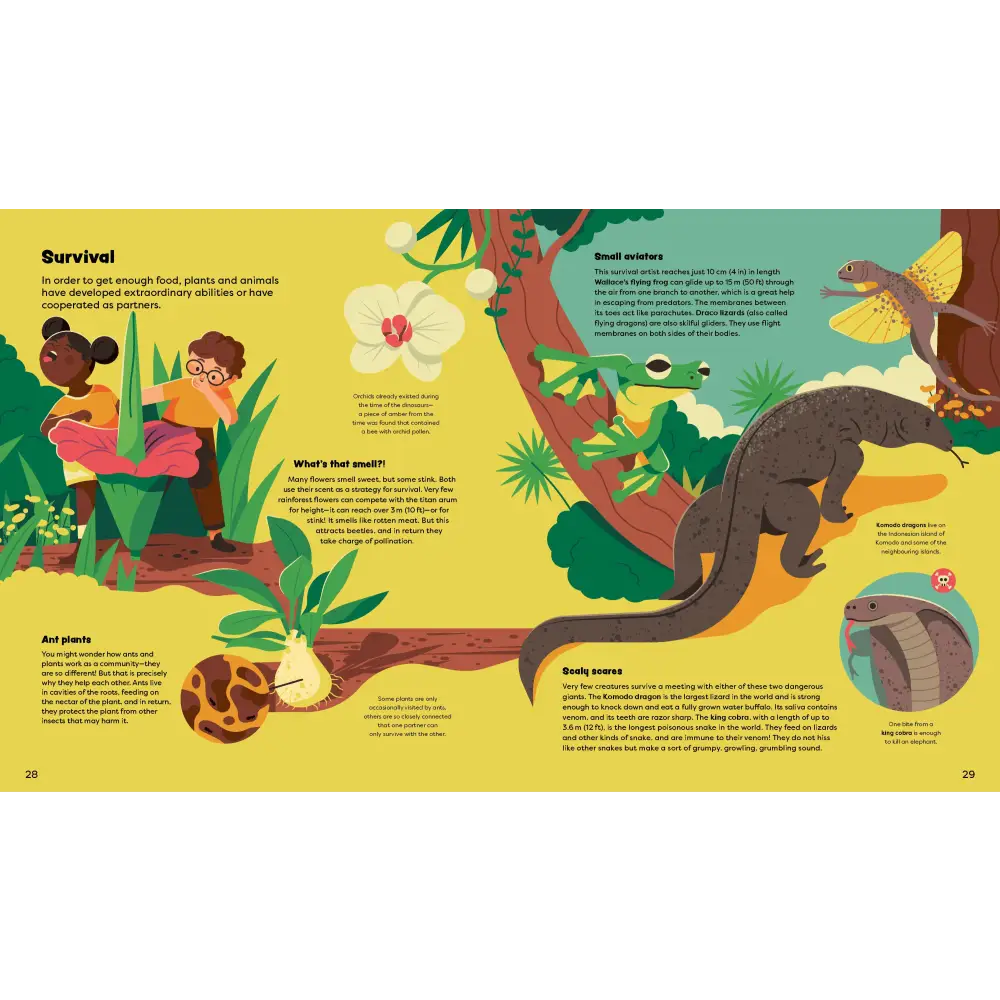 Explore the Rainforest Books