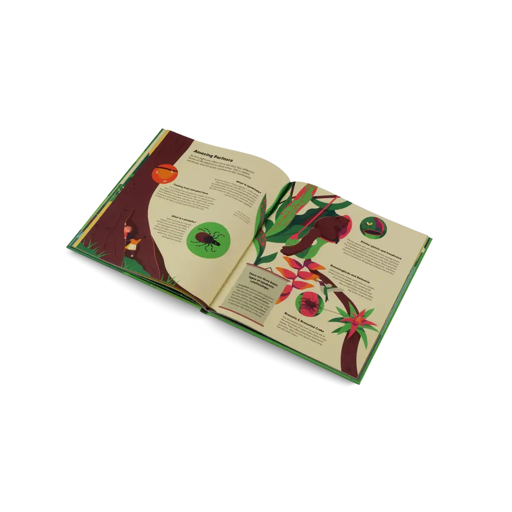 Explore the Rainforest Books