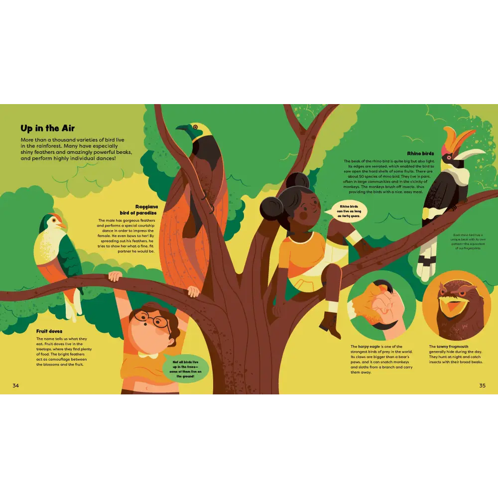 Explore the Rainforest Books