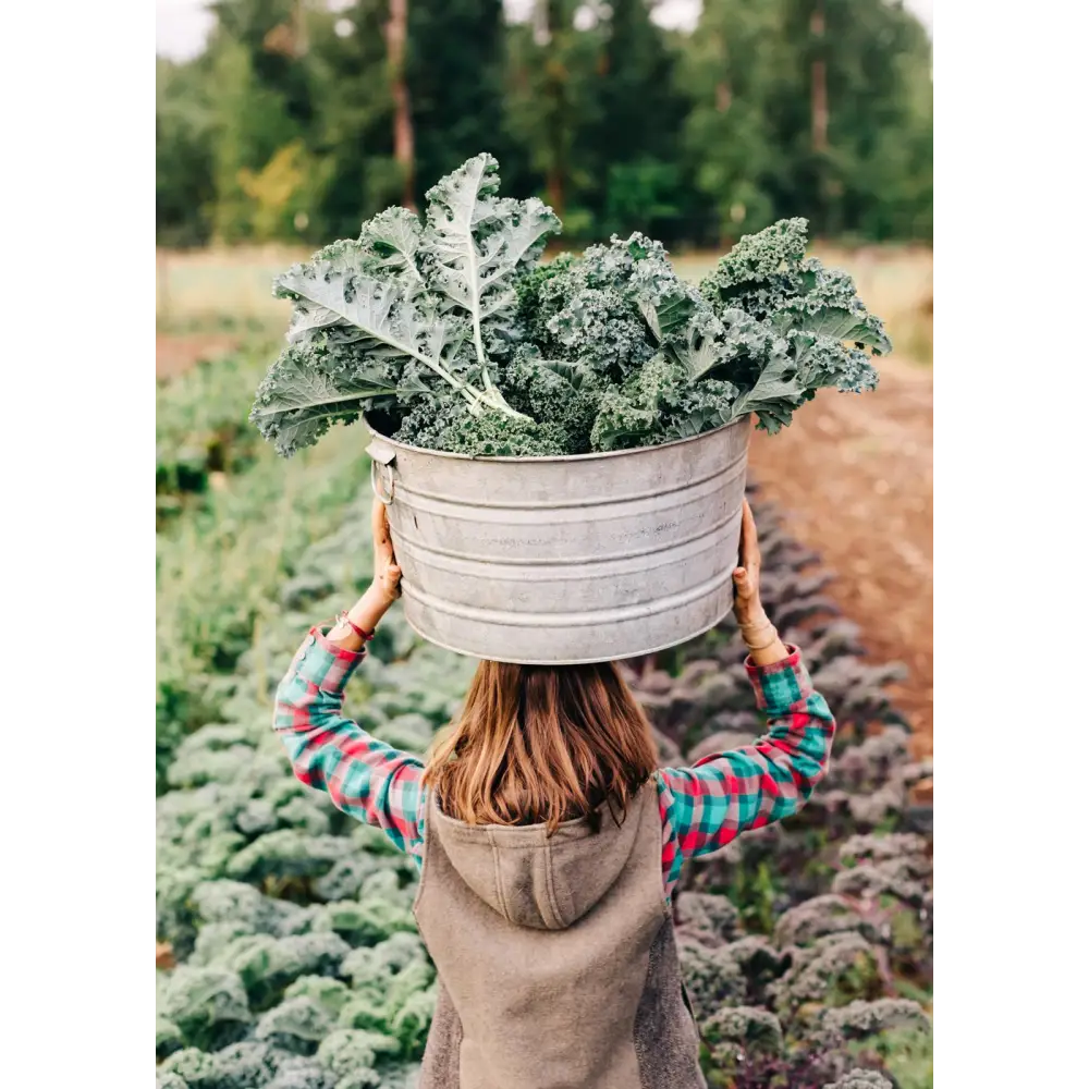 Farmlife Book