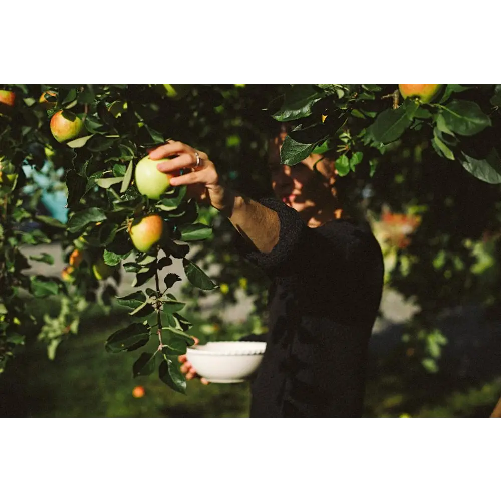 Farmlife Book