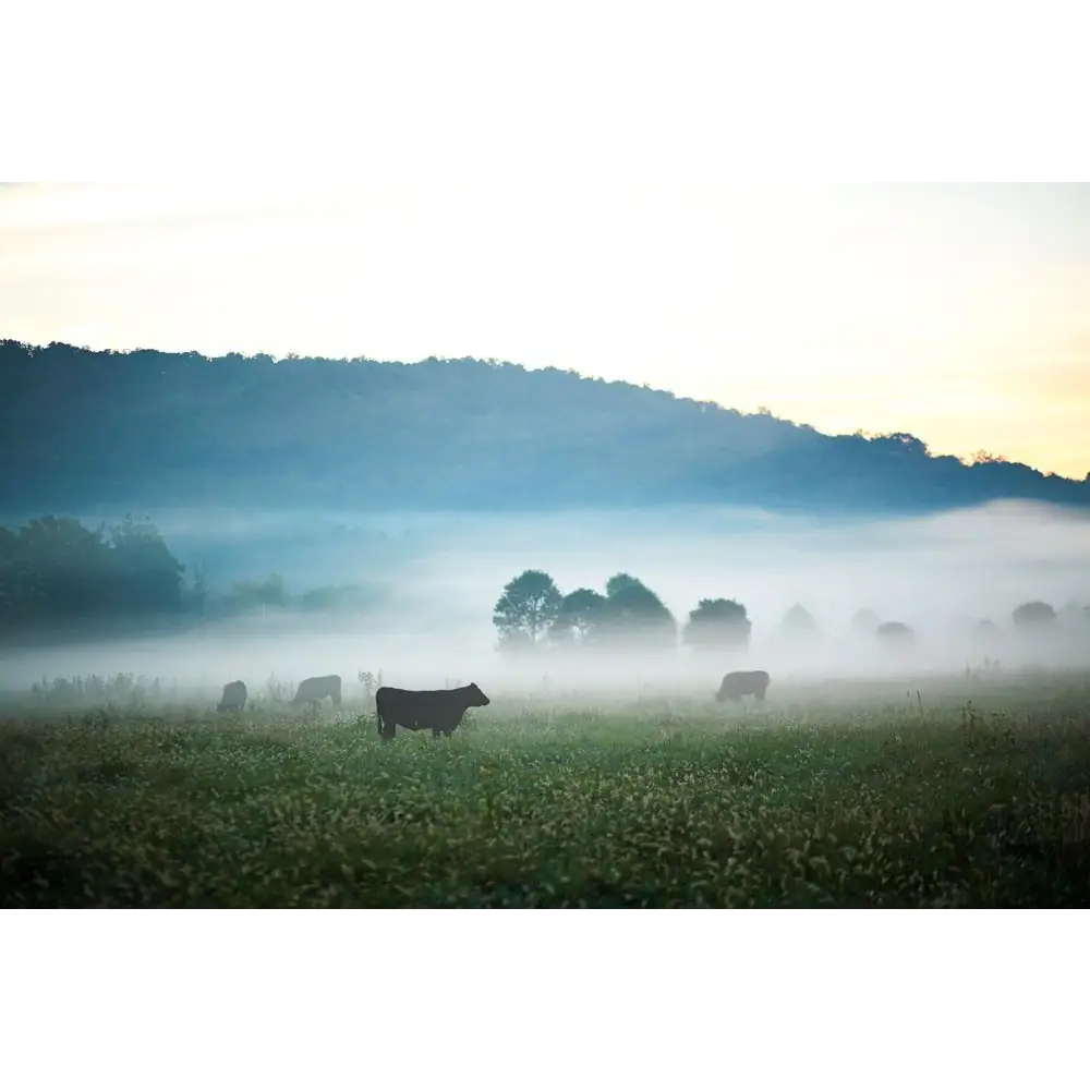 Farmlife Book