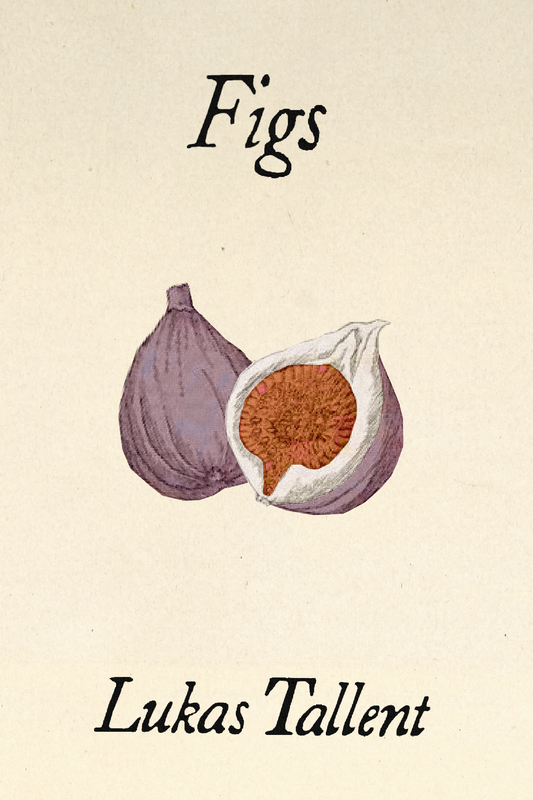 Figs, by Lukas Tallent
