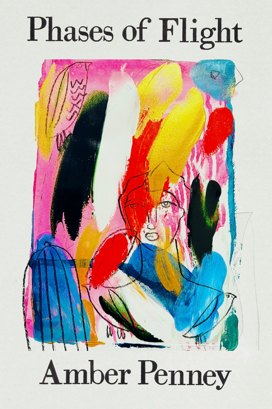 Phases of Flight, by Amber Penney