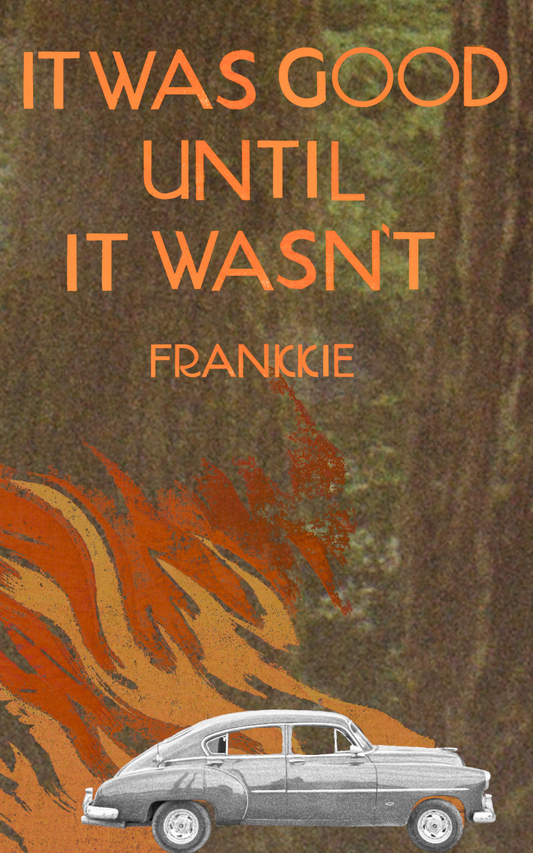 It Was Good Until It Wasn't, by Frankkie