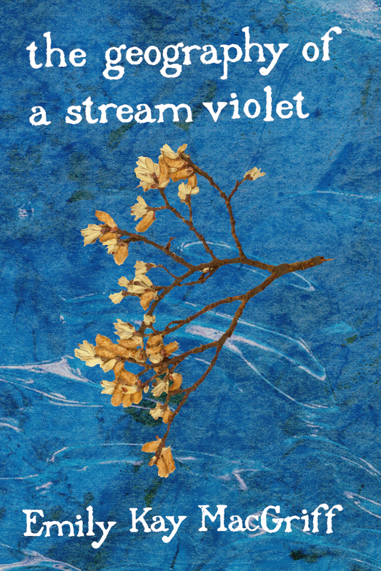 the geography of a stream violet, by Emily Kay MacGriff