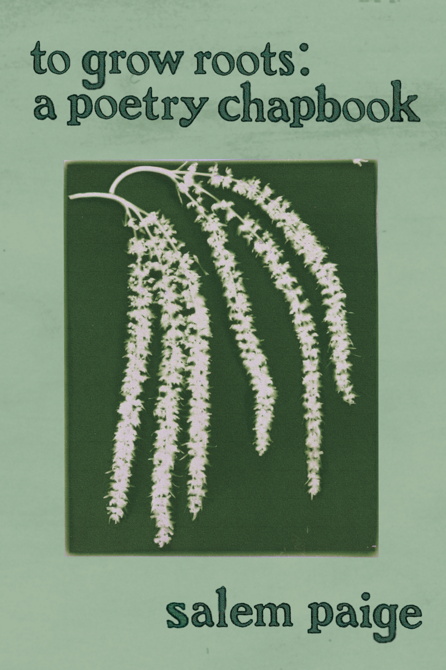 to grow roots: a poetry chapbook, by salem paige