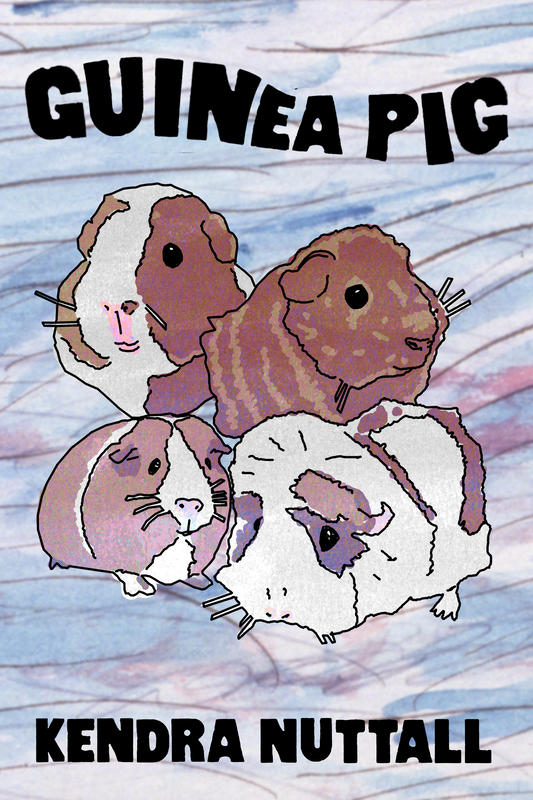 Guinea Pig, by Kendra Nuttall