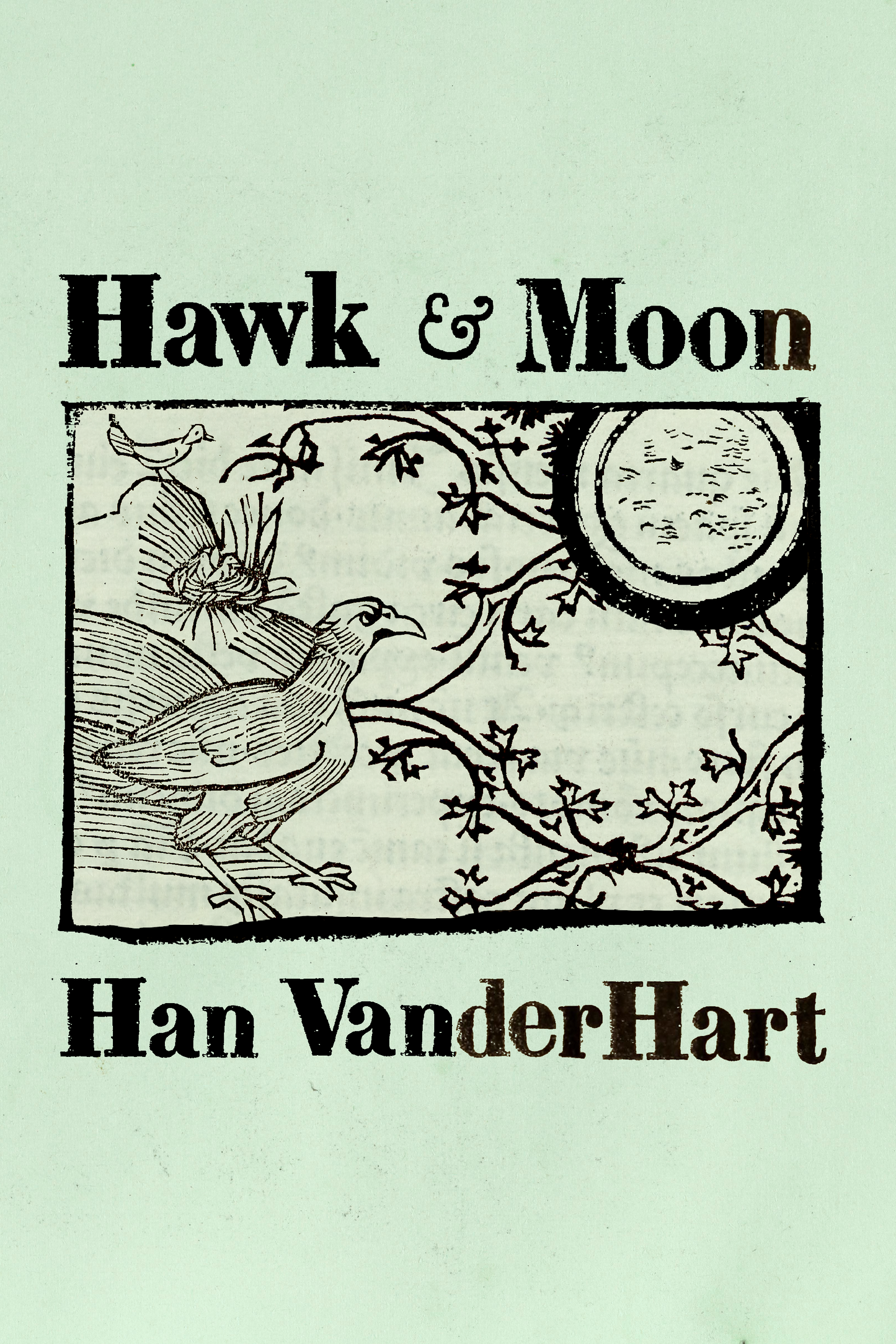 Hawk & Moon, by Han VanderHart