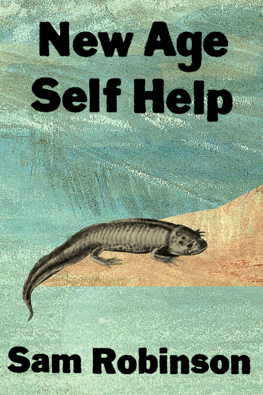 New Age Self Help, by Sam Robinson