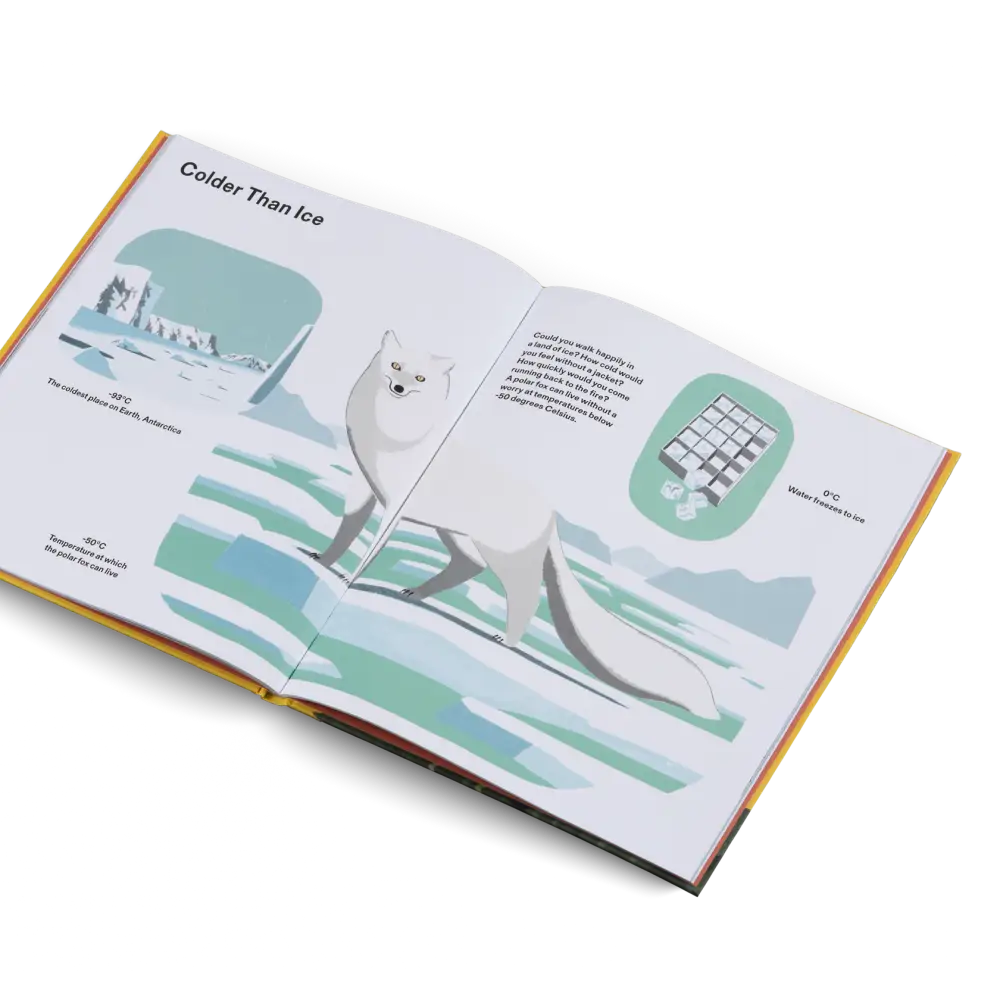 How Big Is Big? How Far Is Far? All Around Book