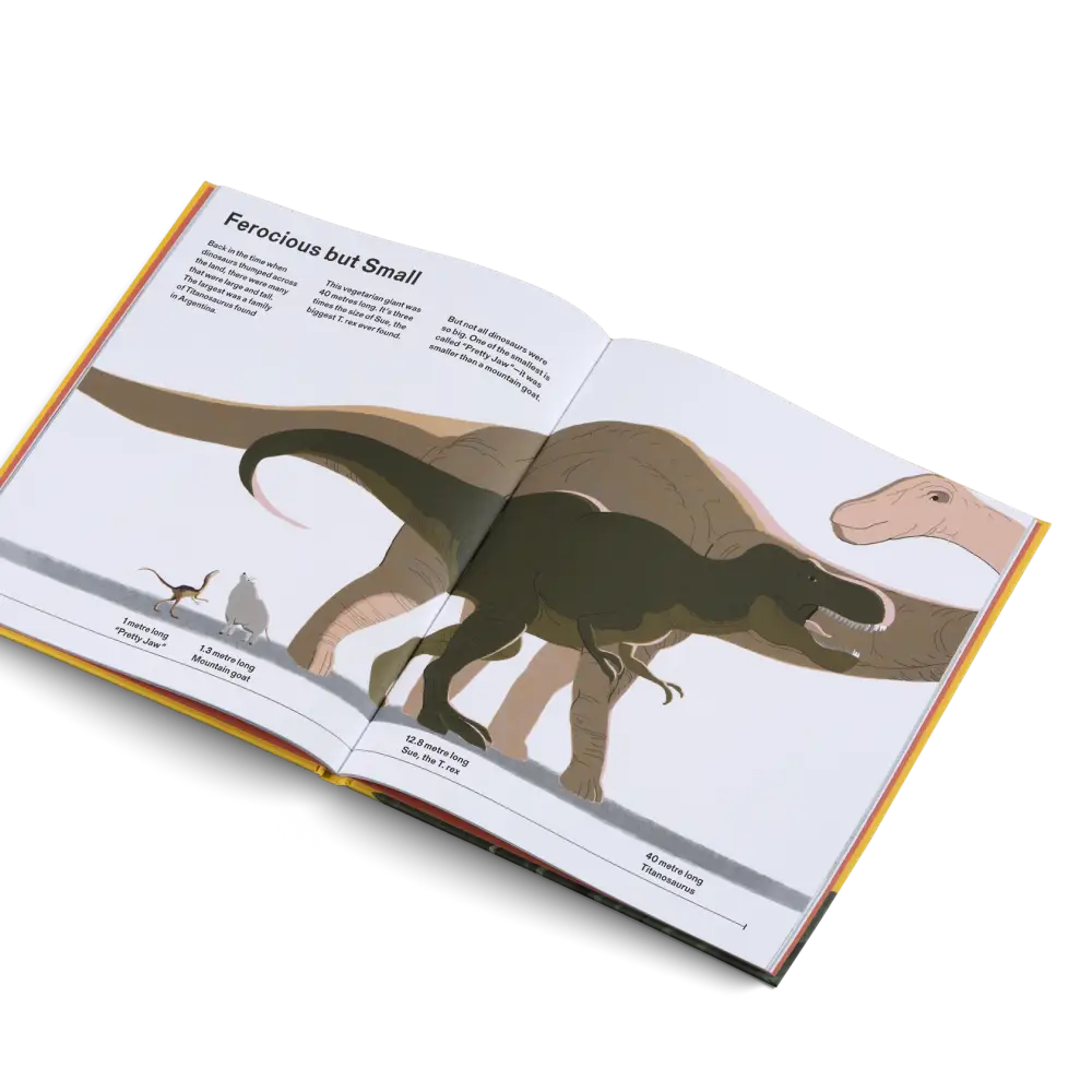 How Big Is Big? How Far Is Far? All Around Book