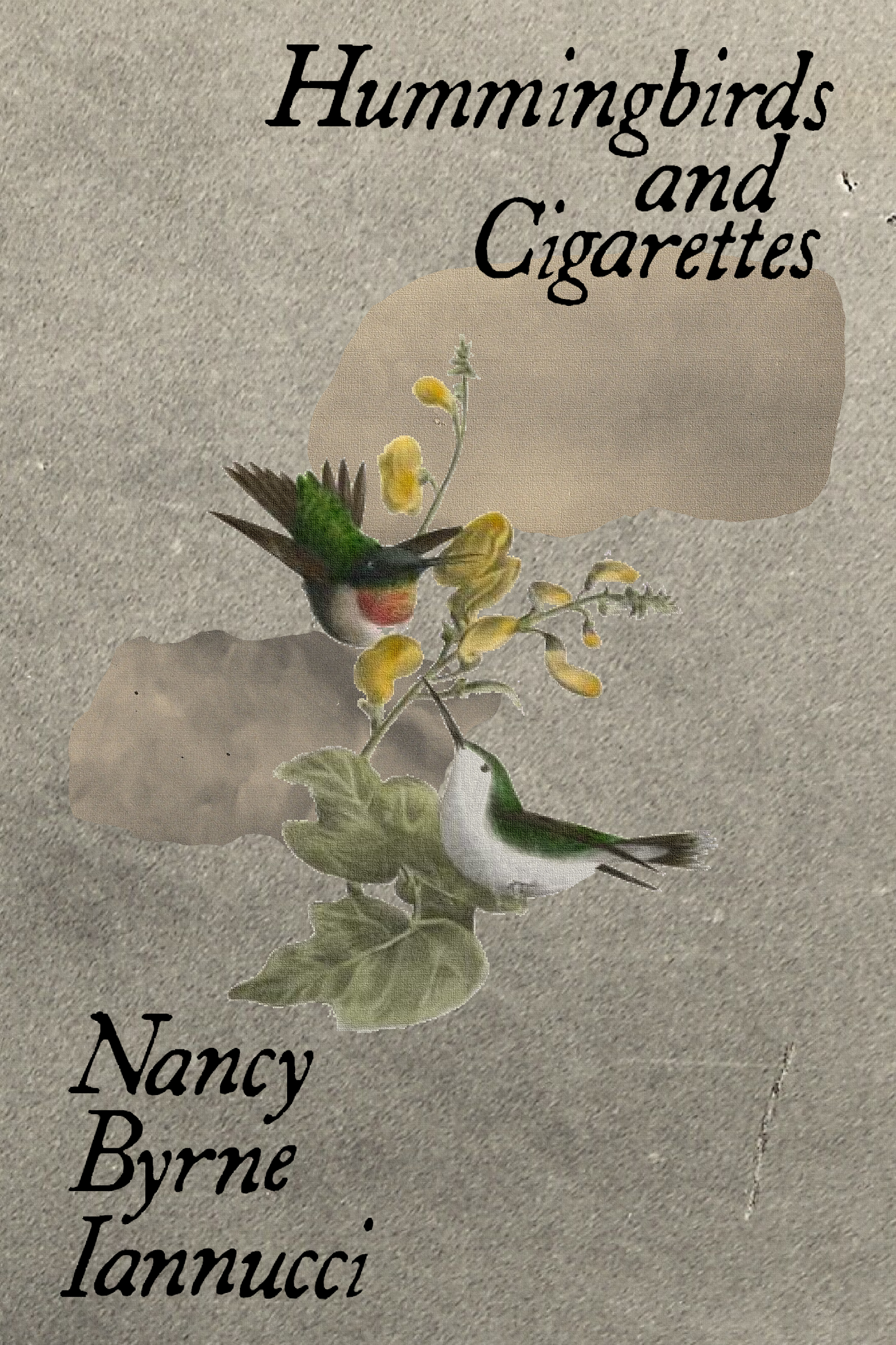 Hummingbirds and Cigarettes, by Nancy Byrne Iannucci