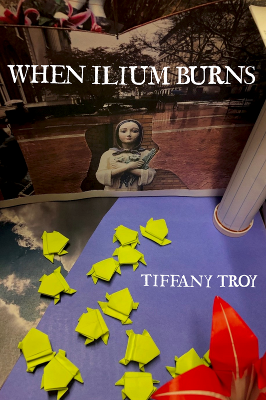 When Ilium Burns, by Tiffany Troy
