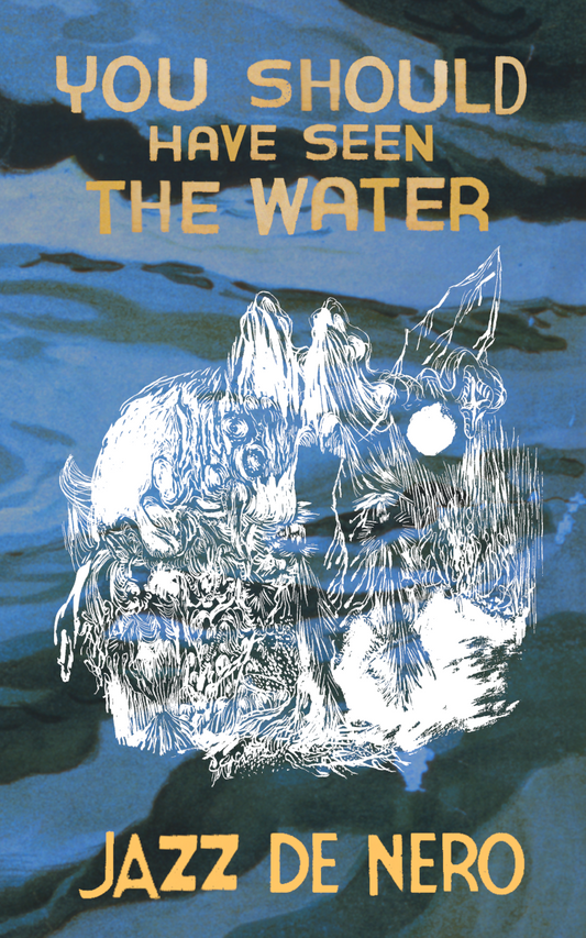 You Should Have Seen The Water, by Jazz De Nero