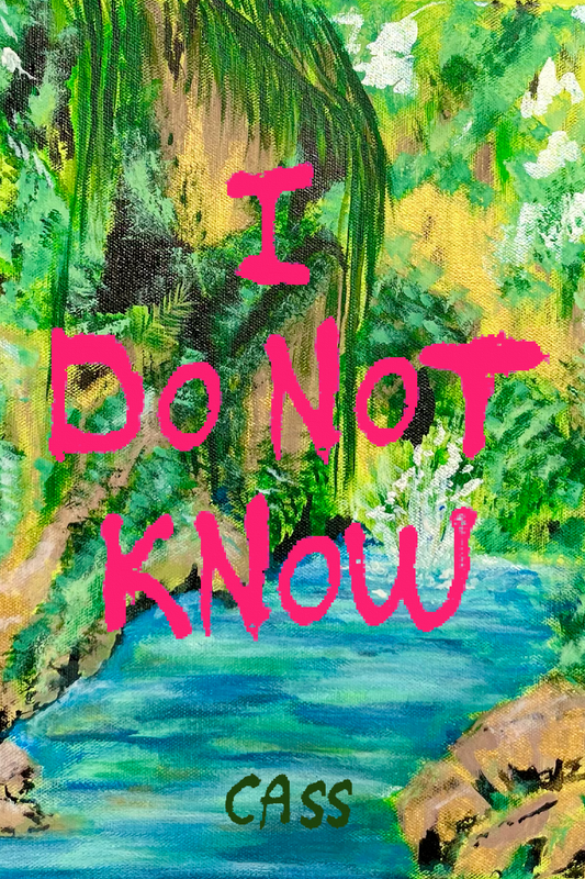 I Do Not Know, by Cass