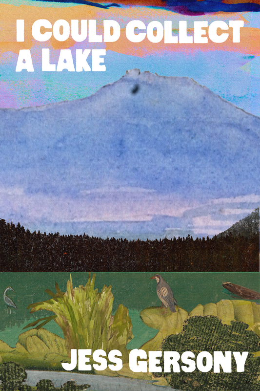 I Could Collect a Lake, by Jess Gersony