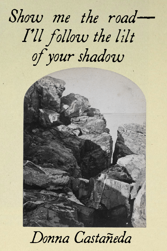 Show me the road—I'll follow the lilt of your shadow, by Donna Castañeda