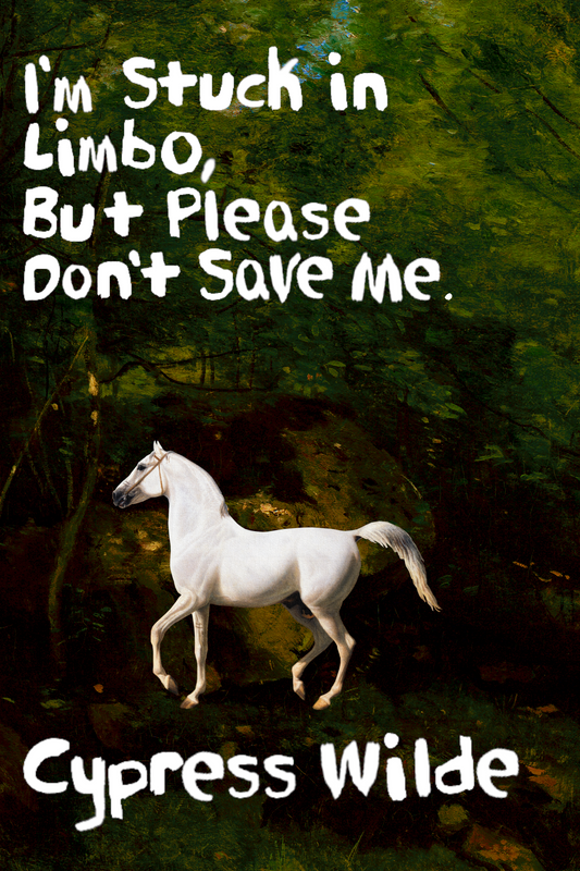 I'm Stuck in Limbo, But Please Don't Save Me, by Cypress Wilde