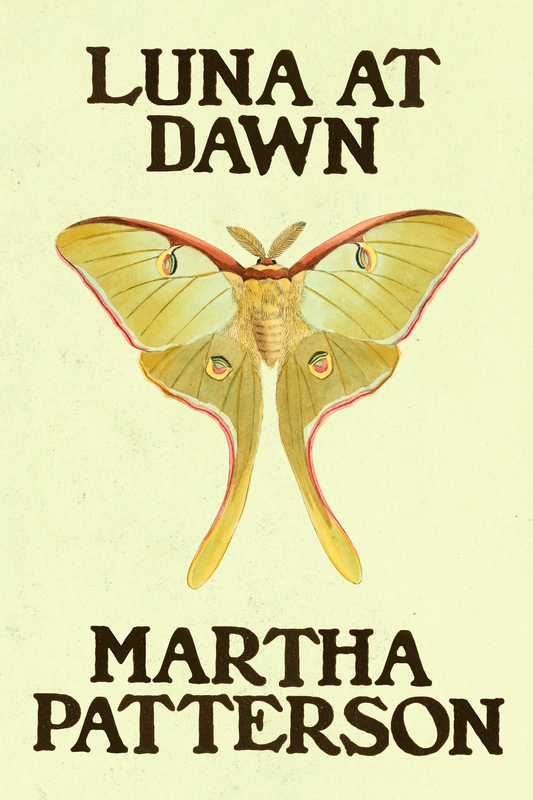 Luna at Dawn, by Martha Patterson