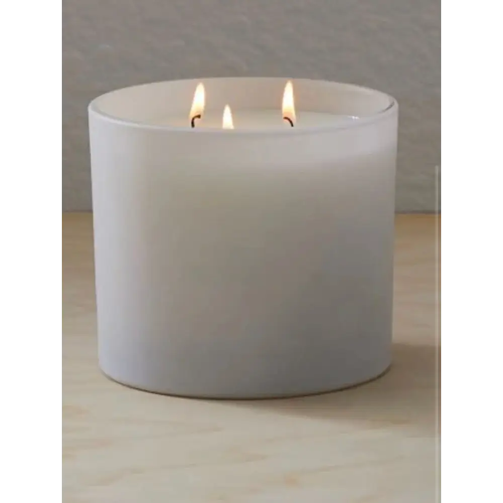 Muir Woods 3 Wick Candle - Candles