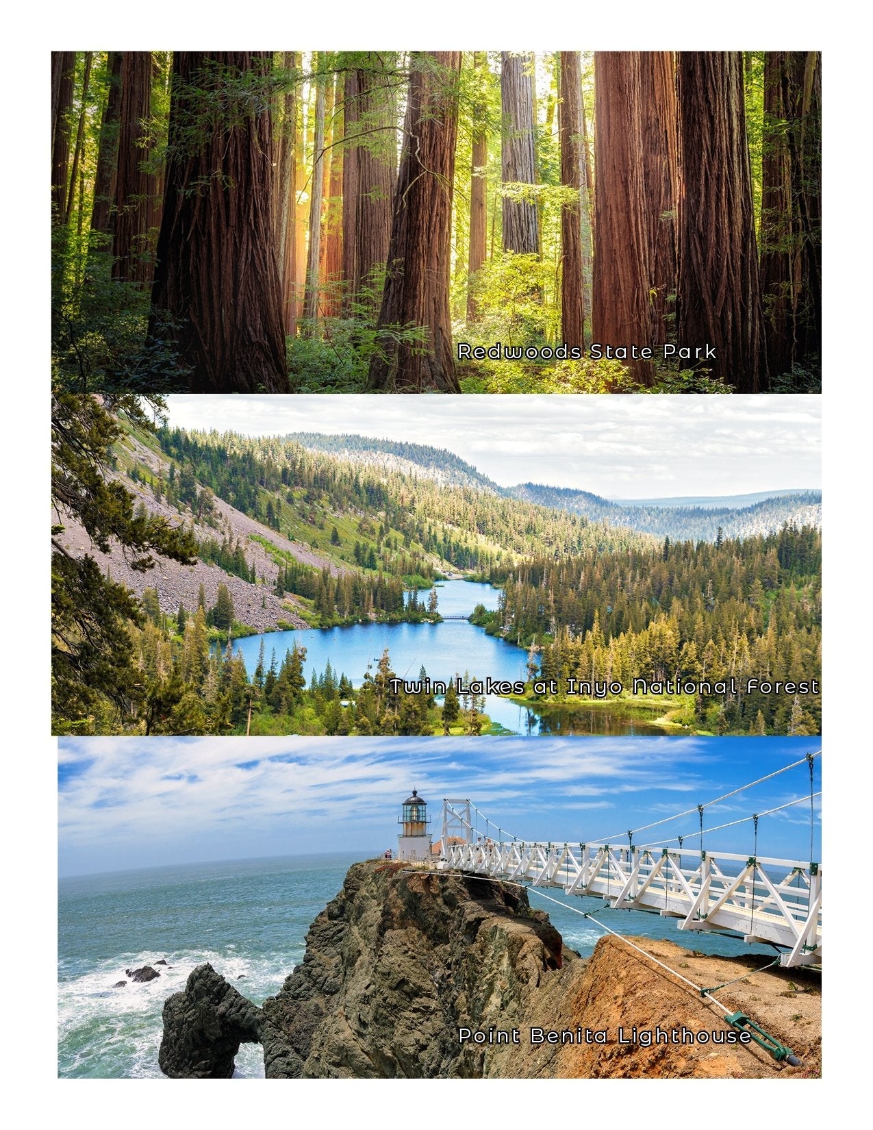 NEW - California Adventure Book