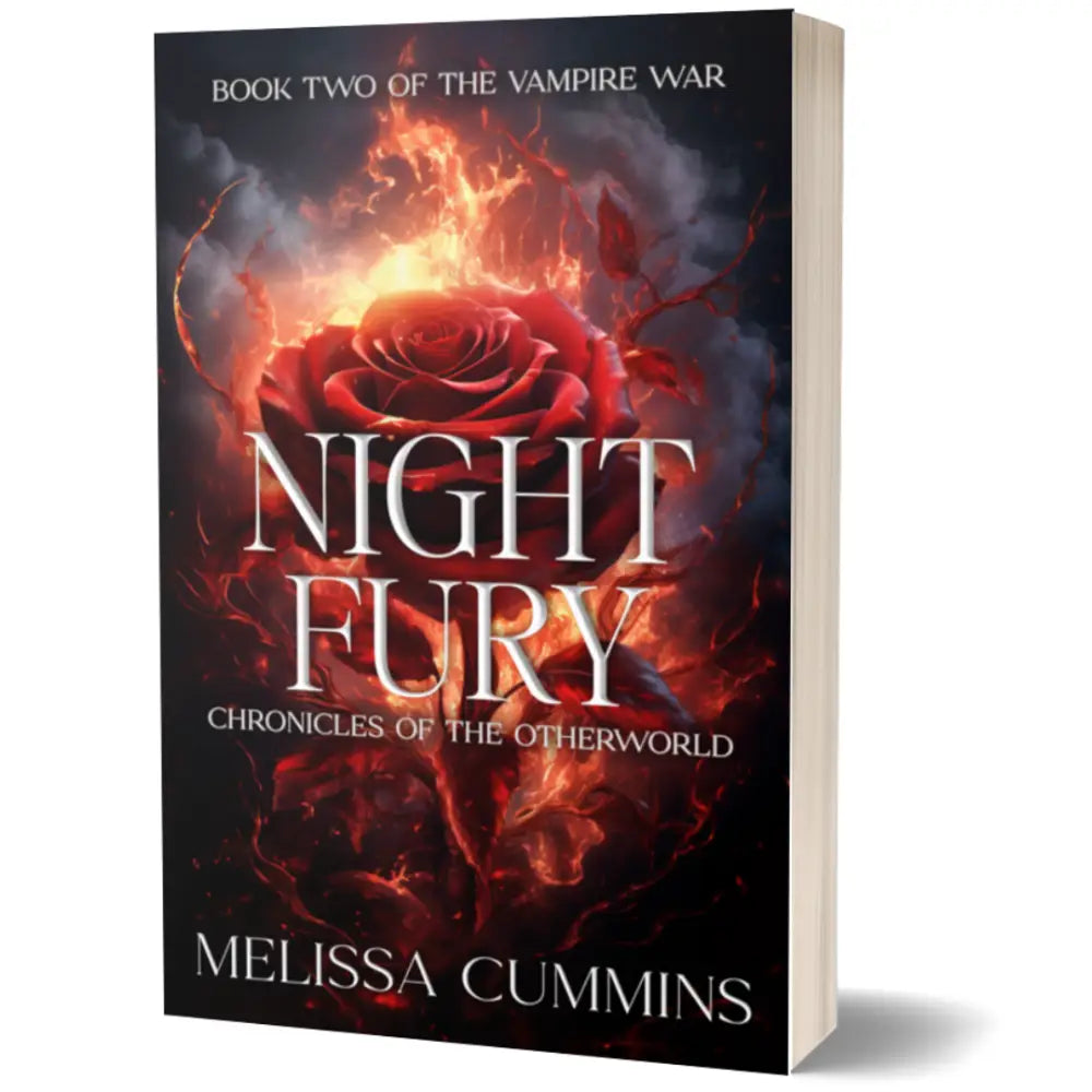Night Fury Paperback - Paperback
