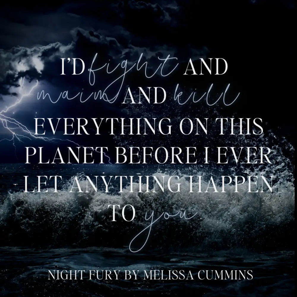 Night Fury Paperback - Paperback