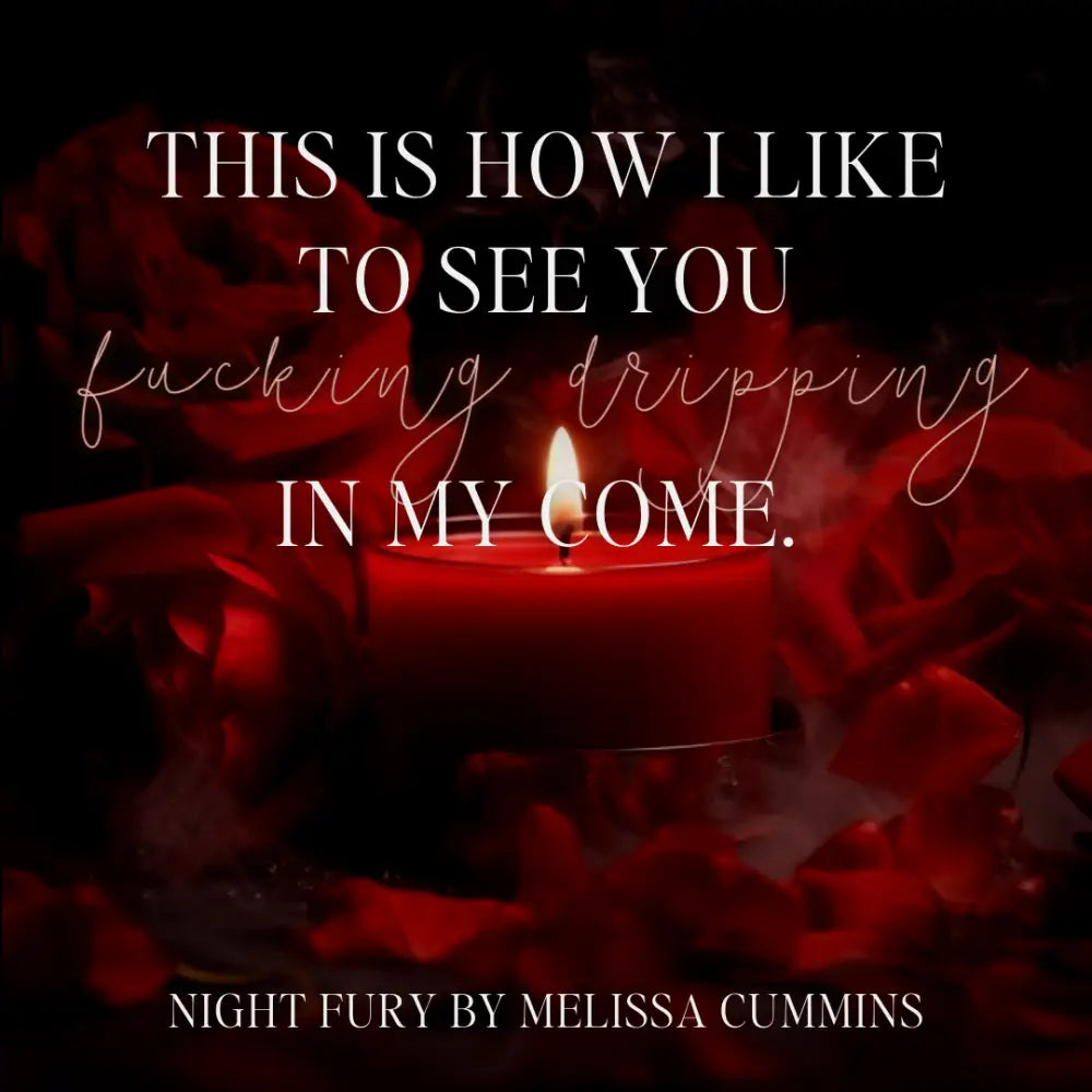 Night Fury Paperback - Paperback