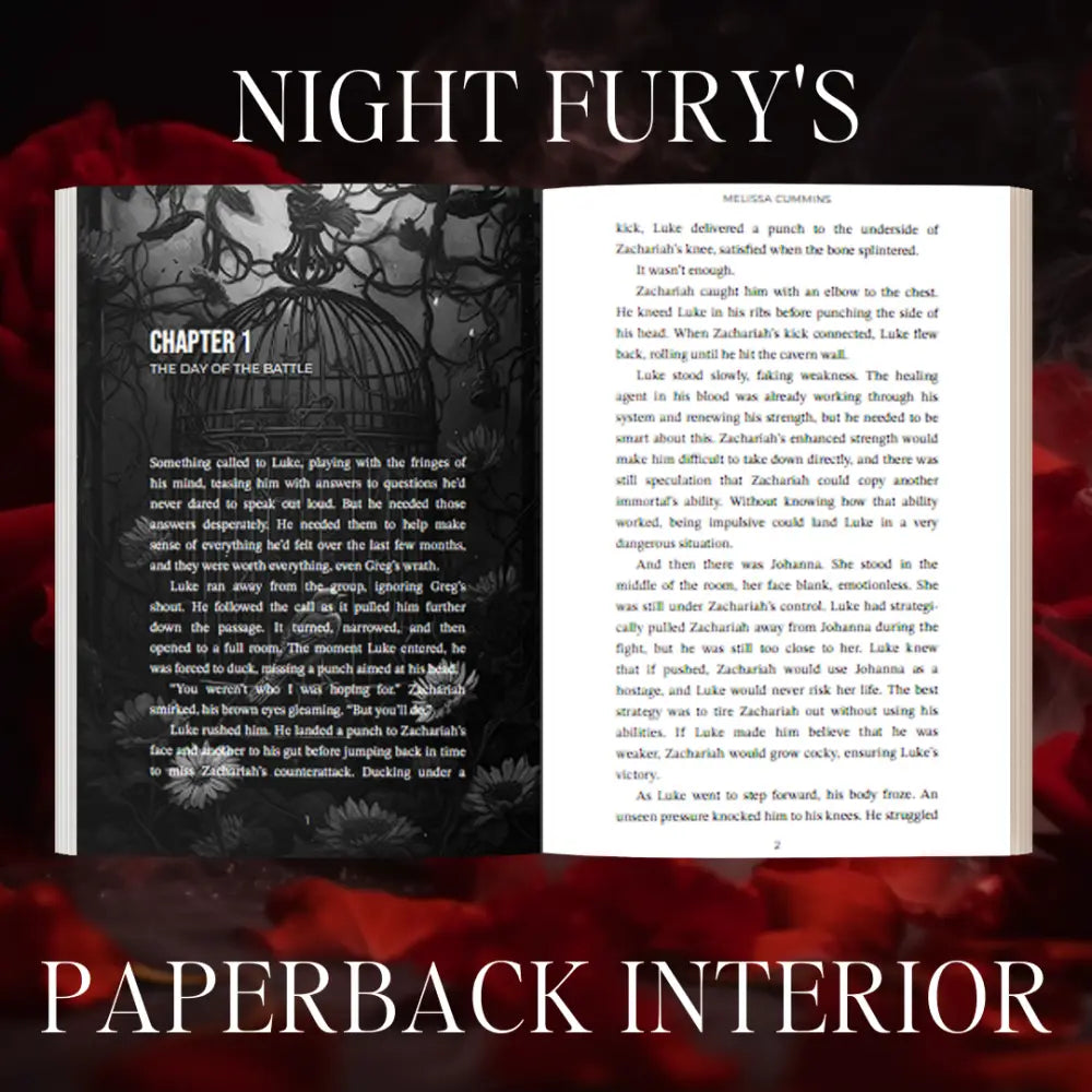 Night Fury Paperback - Paperback