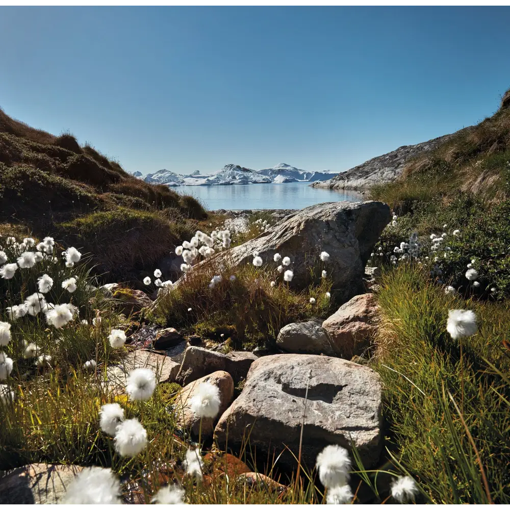 Nordic By Nature Book