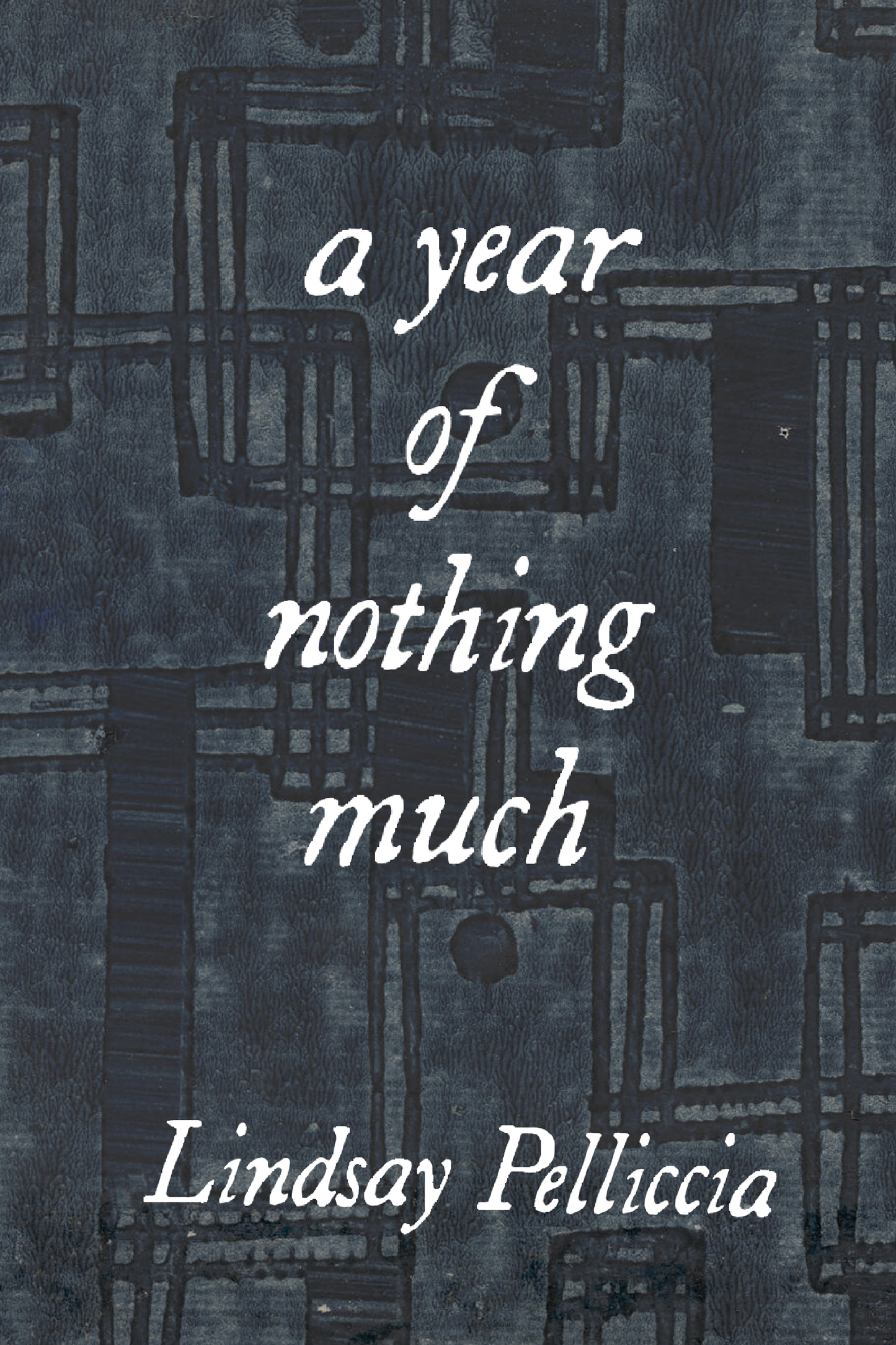 a year of nothing much, by Lindsay Pelliccia