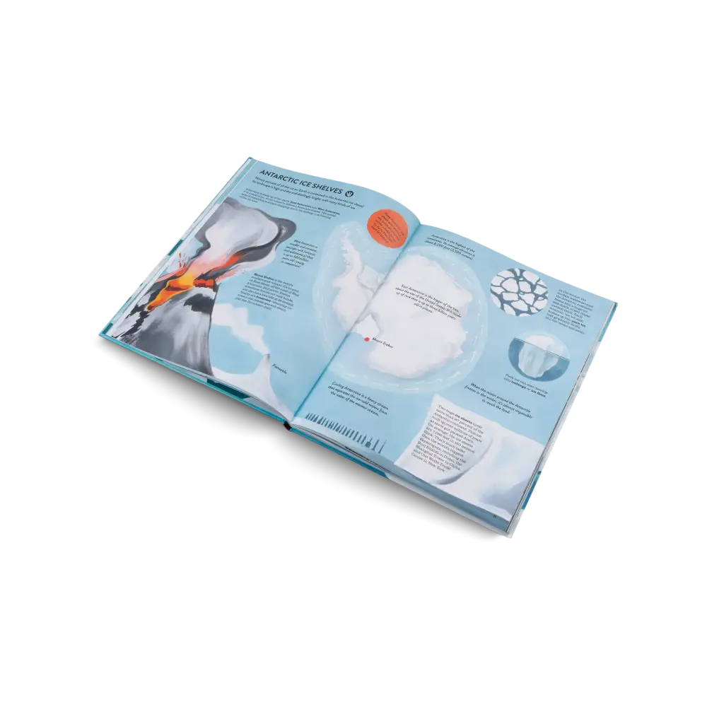 Penguins and Polar Bears Book