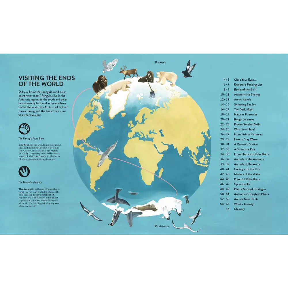 Penguins and Polar Bears Book