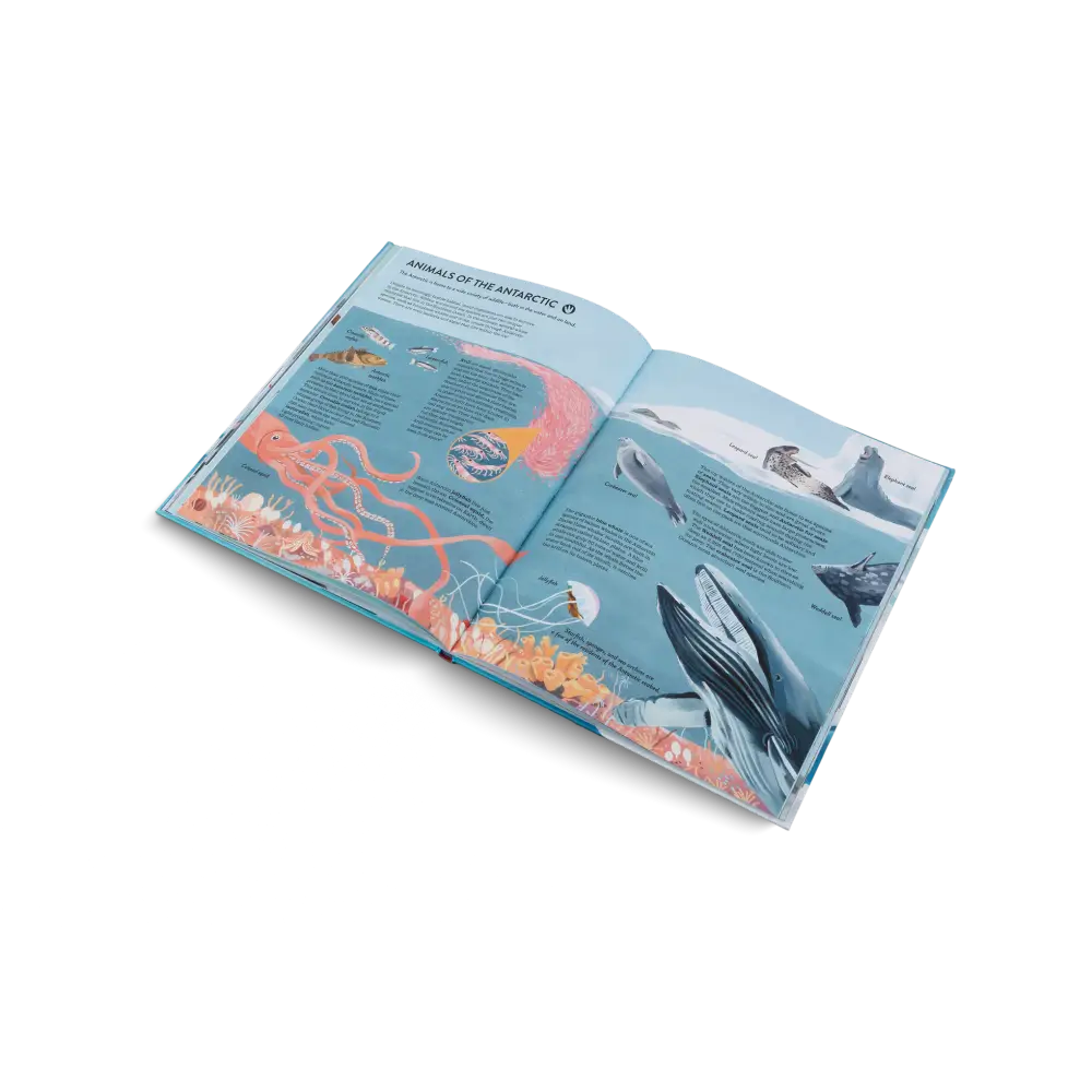 Penguins and Polar Bears Book