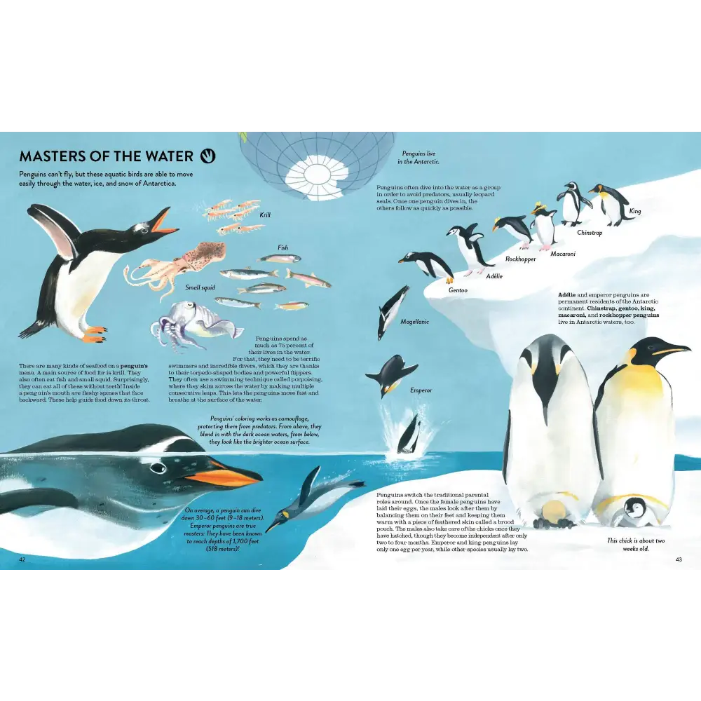 Penguins and Polar Bears Book