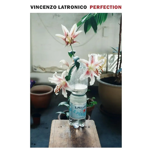 Perfection cover image