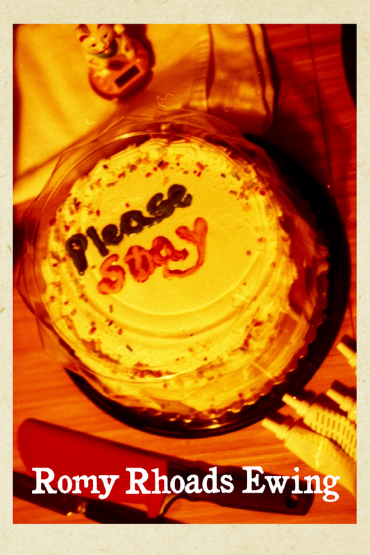 please stay, by Romy Rhoads Ewing