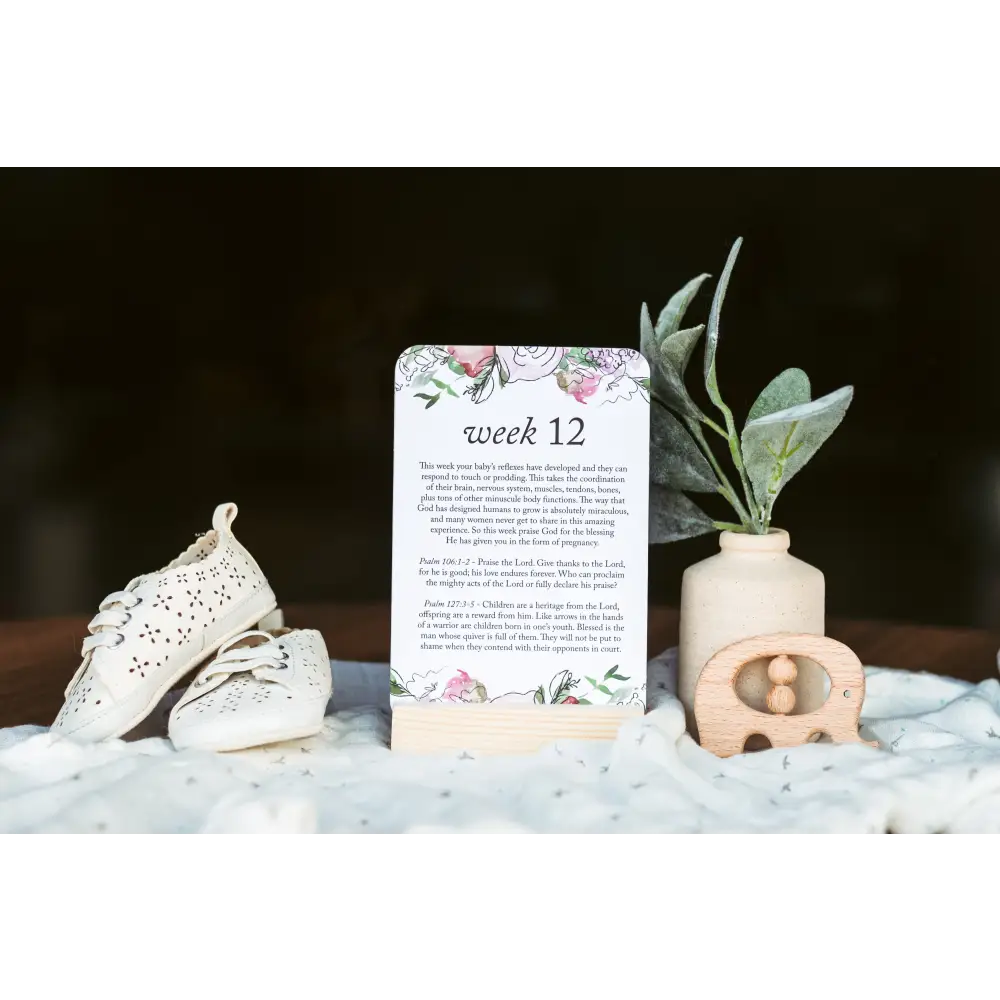 Pregnancy Prayer Cards Prayer Cards