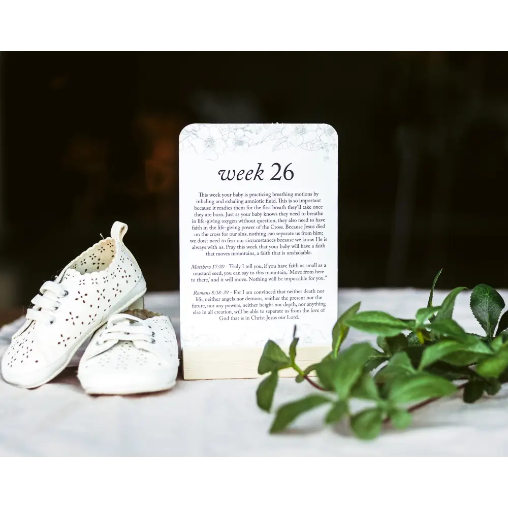 Pregnancy Prayer Cards Prayer Cards