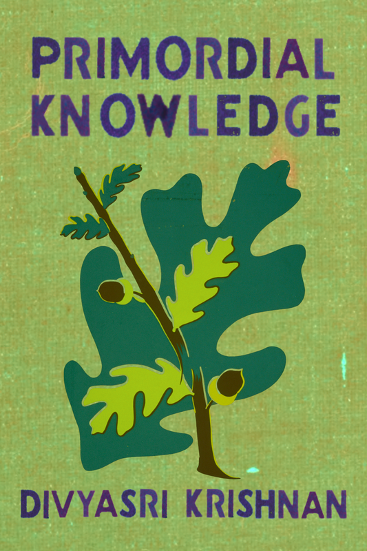 Primordial Knowledge, by Divyasri Krishnan