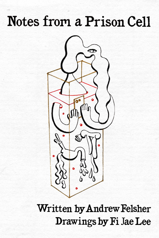 Notes from a Prison Cell, by Andrew Felsher, with drawings by Fi Jae Lee