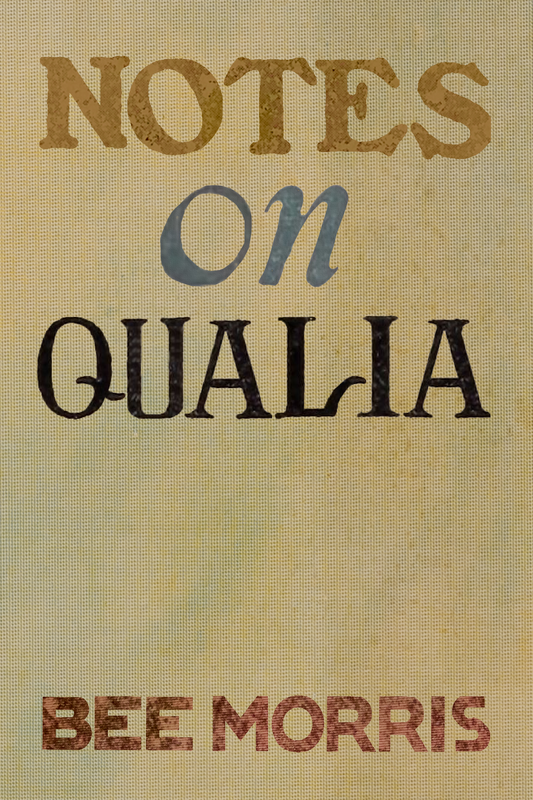 Notes on Qualia, by Bee Morris