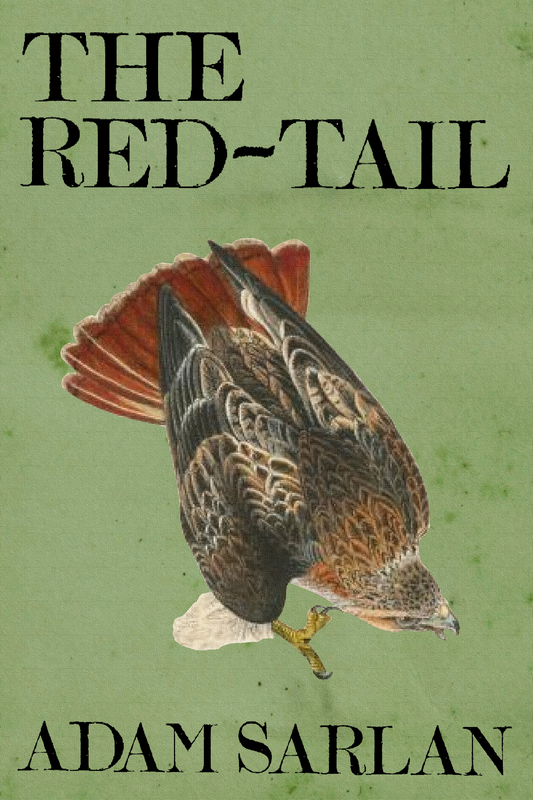The Red-Tail, by Adam Sarlan
