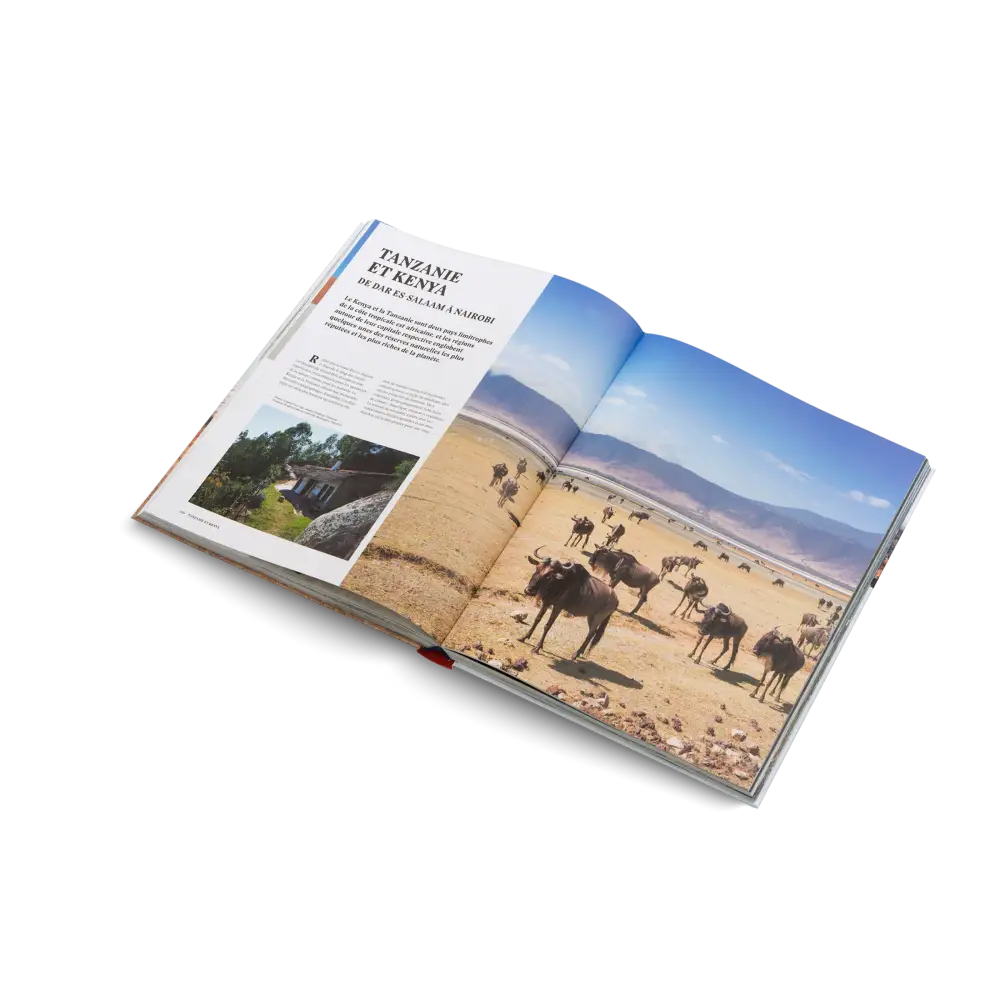 Roadtrips! Book