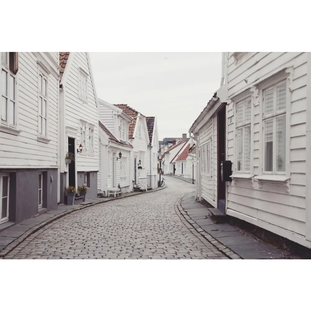 Scandinavia Dreaming Book