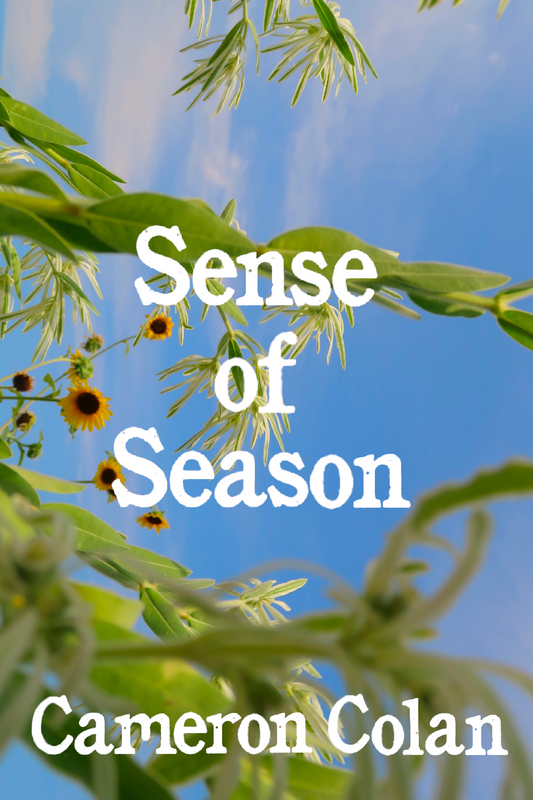 Sense of Season, by Cameron Colan