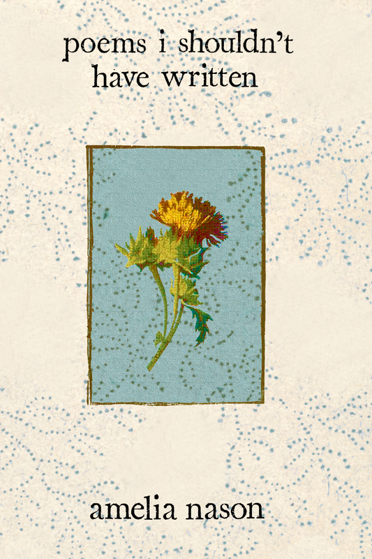 poems i shouldn't have written, by amelia nason