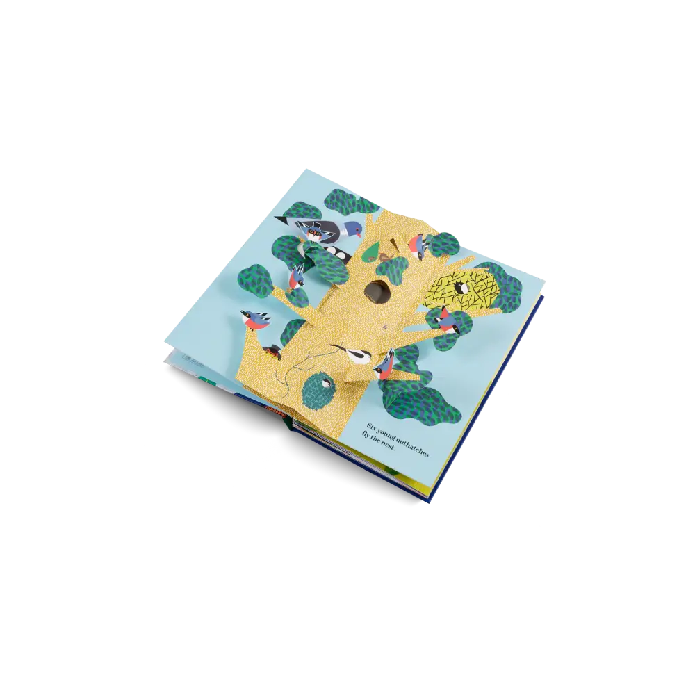Six Little Birds Book