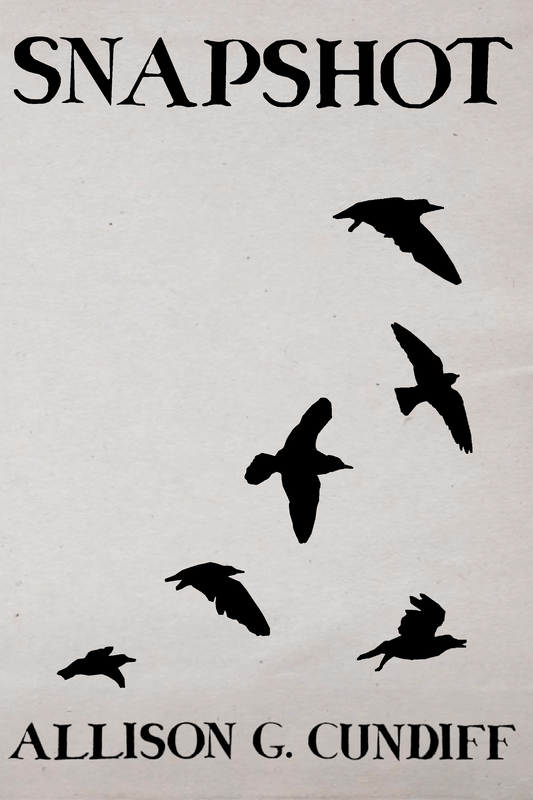 Snapshot, by Allison G. Cundiff